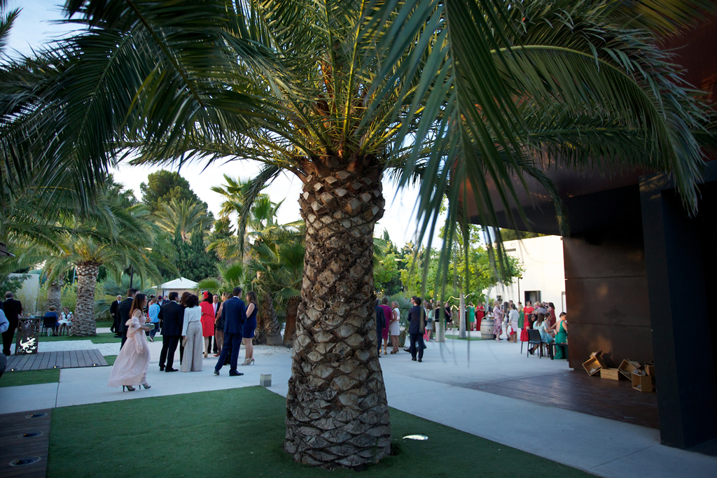 Boda jardin palmeras verano quinta lacy