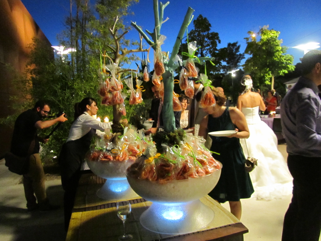 Boda jardin quinta lacy 1